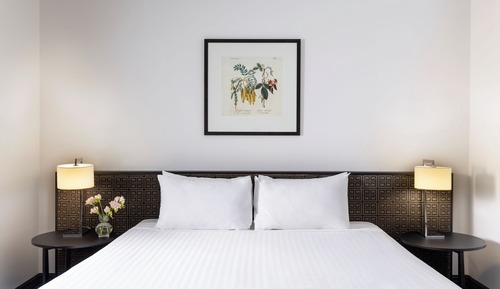 Suite Dreams