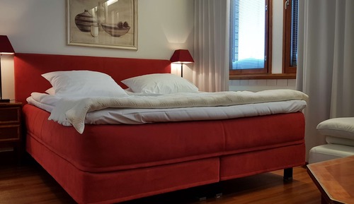 Habitación estándar, 1 cama de matrimonio grande, no fumadores, sauna