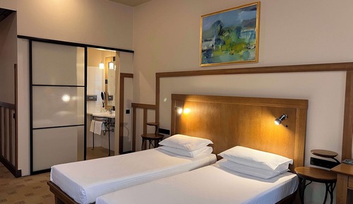 Habitación estándar, 2 camas individuales