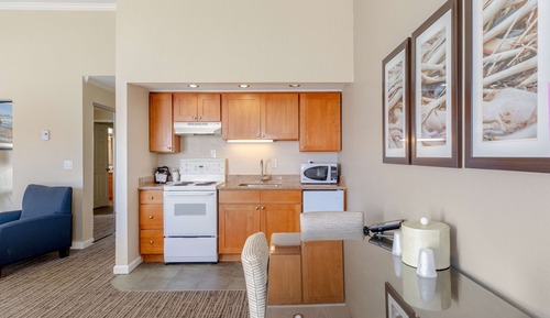 Suite, 1 cama de matrimonio grande, cocina básica (No Pets in room type;with Sofabed)