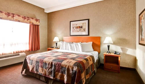 Suite ejecutiva, 1 cama de matrimonio grande