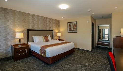 Suite, 1 cama de matrimonio grande, no fumadores (1-Bedroom)