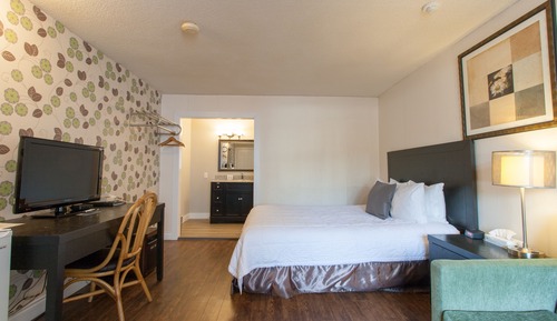 Habitación, 1 cama de matrimonio grande con sofá cama