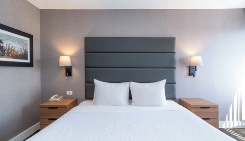Suite estándar, 1 cama de matrimonio grande con sofá cama, cocina básica