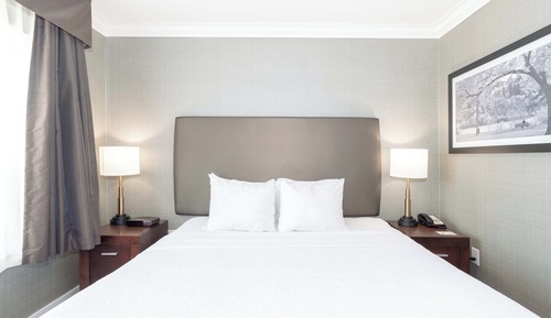 Suite estándar, 1 cama de matrimonio grande, cocina básica (Sofa Bed)