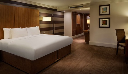Habitación Deluxe, 1 cama de matrimonio