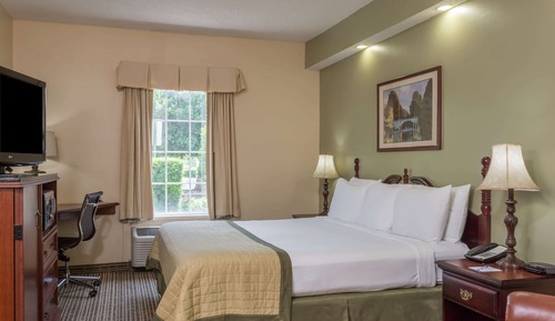 Habitación estándar, 1 cama de matrimonio grande, no fumadores