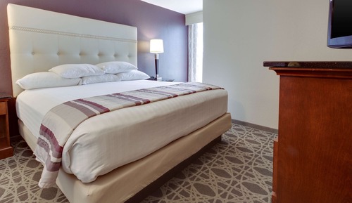 Suite, 1 cama de matrimonio grande con sofá cama, frigorífico y microondas (2 Rooms)