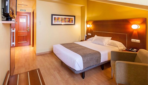 Habitación estándar, 1 cama de matrimonio