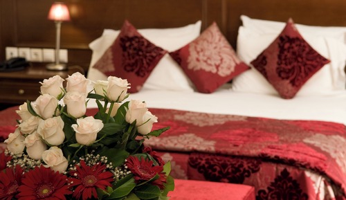 Suite Premium