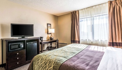 Habitación estándar, 1 cama de matrimonio grande, no fumadores