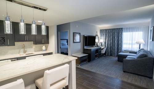 Suite, 2 camas de matrimonio, frigorífico y microondas (Wet bar)