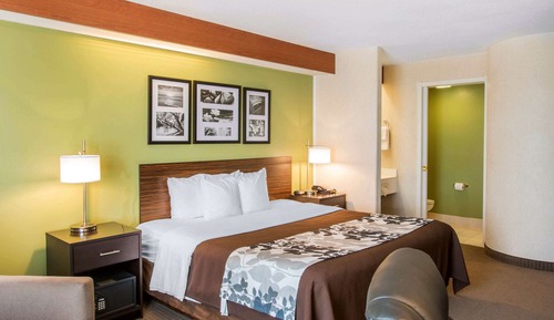 Habitación estándar, 1 cama de matrimonio grande, no fumadores