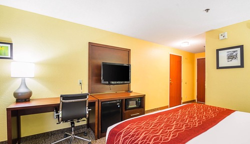 Habitación estándar, 1 cama de matrimonio grande