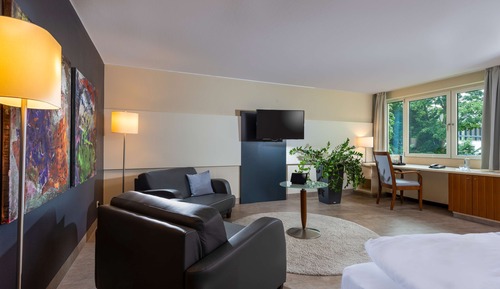 Habitación Business (with Double Bed)