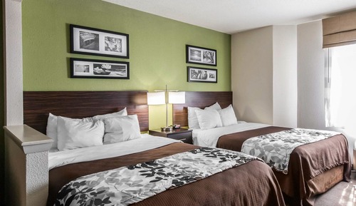 Habitación estándar, 2 camas de matrimonio, no fumadores