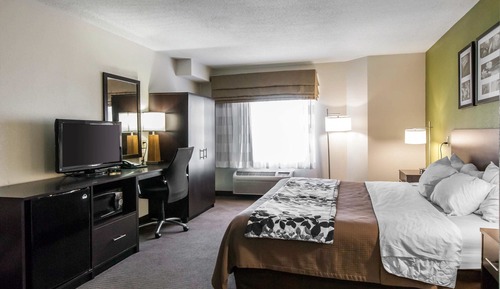 Suite, 1 cama de matrimonio grande, no fumadores
