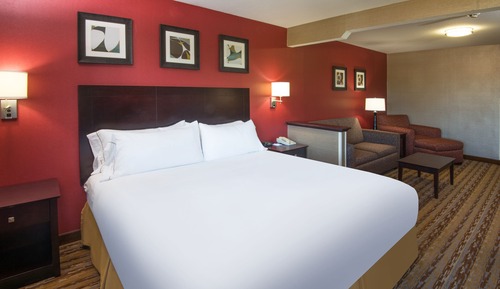 Habitación estándar, 1 cama de matrimonio grande (Communications)
