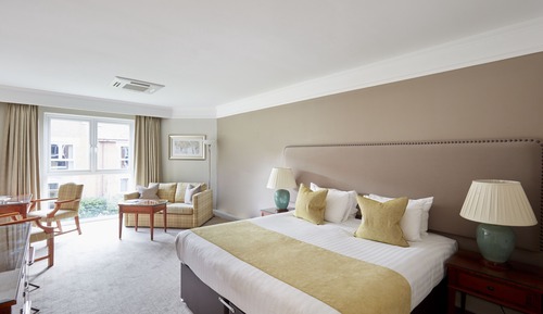 Deluxe King (1 King bed)