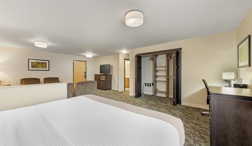 Suite junior, 1 cama de matrimonio grande, no fumadores, frigorífico y microondas