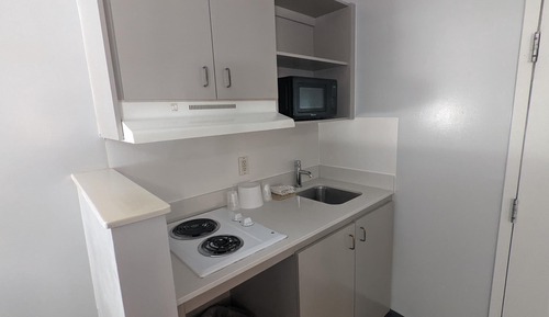 Habitación Premium, 2 camas dobles, no fumadores, cocina básica