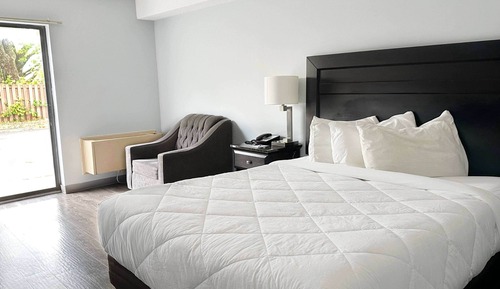 Habitación estándar, 1 cama de matrimonio, no fumadores