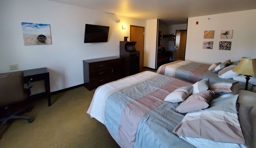Suite estudio estándar, varias camas, no fumadores (with Pull out Couch, Non-pet friendly)