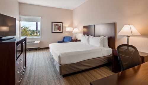 Habitación estándar, 1 cama de matrimonio grande, no fumadores, frigorífico