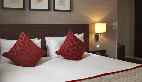 Suite, 1 cama doble