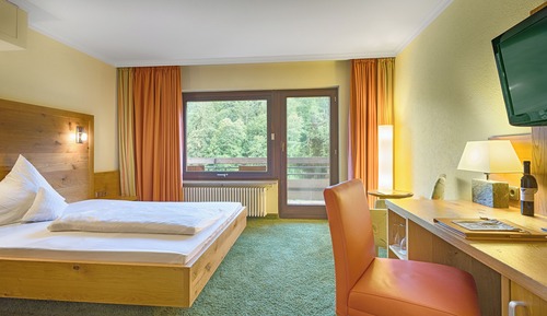 Habitación panorámica doble