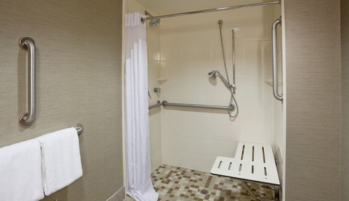 Habitación estándar, 1 cama de matrimonio grande (Communications, Roll-In Shower)