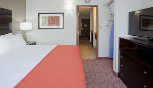 Suite, 1 cama de matrimonio grande con sofá cama (Walk-In Shower)