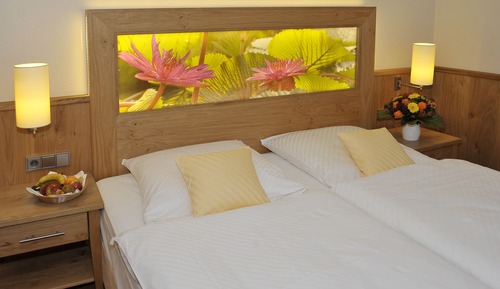 Habitación Confort con 1 cama doble o 2 individuales