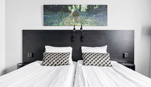 Habitación superior, 2 camas individuales, no fumadores
