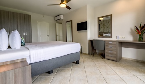 1 Bedroom Suite