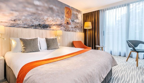 Privilege, Habitación Confort, 1 cama doble