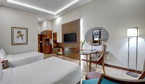 Habitación ejecutiva con 1 cama doble o 2 individuales, vistas a la montaña