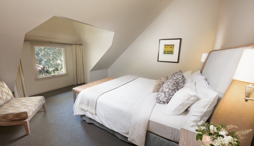 Harvest Suite
