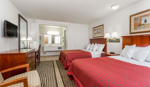 Suite, 2 camas de matrimonio
