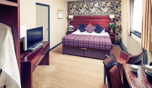 Privilege, Habitación, 1 cama doble