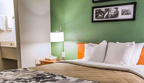 Habitación, 1 cama de matrimonio, accesible para personas con discapacidad (Roll-In Shower)