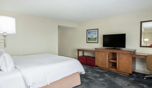 One king size bed with a queen sofa bed