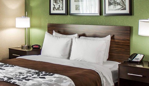 Habitación estándar, 1 cama de matrimonio, no fumadores