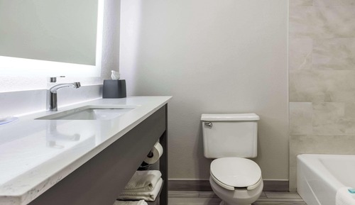 Suite, 1 cama de matrimonio, accesible para personas con discapacidad, no fumadores (Efficiency)
