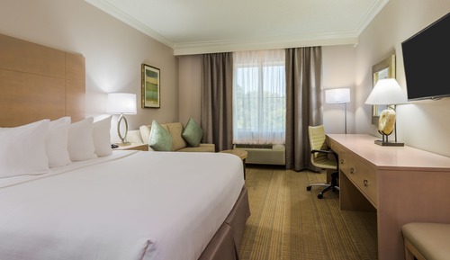 Habitación estándar, 1 cama de matrimonio grande