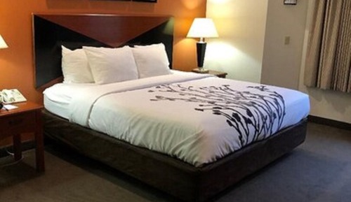 Habitación, 1 cama de matrimonio, accesible para personas con discapacidad, no fumadores