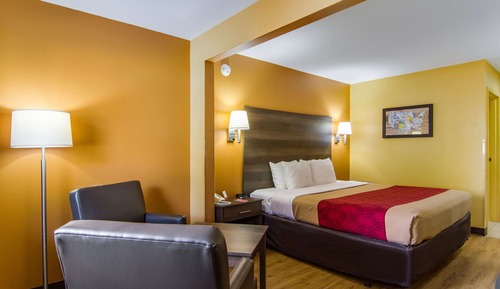 Habitación estándar, 1 cama de matrimonio grande, no fumadores