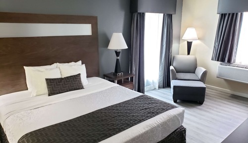 Habitación estándar, 1 cama de matrimonio grande, no fumadores, frigorífico y microondas