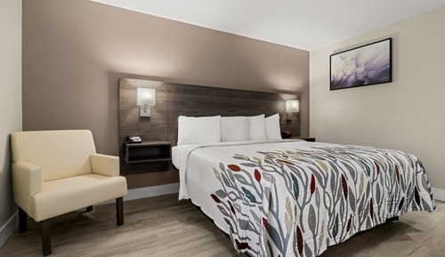 Habitación Deluxe, 1 cama de matrimonio grande, no fumadores