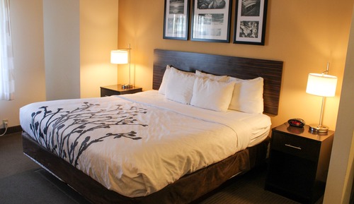 Habitación estándar, 1 cama de matrimonio grande, no fumadores